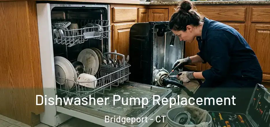  Dishwasher Pump Replacement Bridgeport - CT