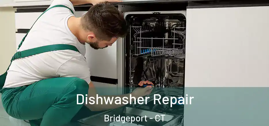  Dishwasher Repair Bridgeport - CT
