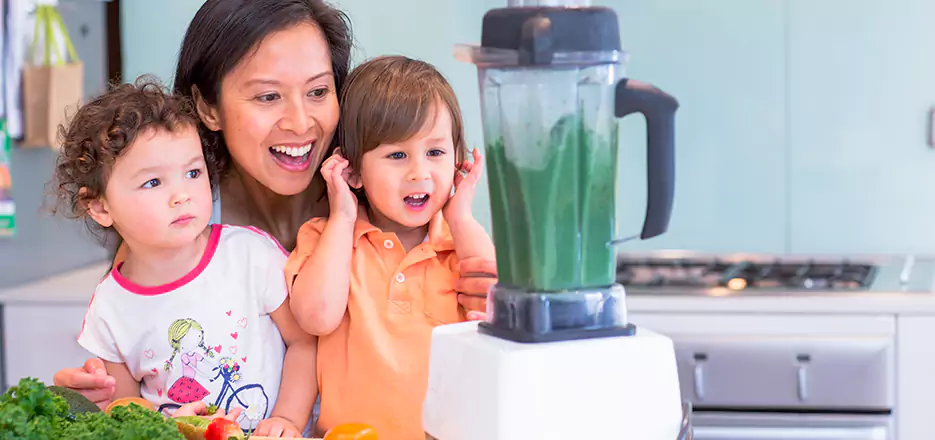 Juicer and Mixer Blender Repair in Bridgeport 