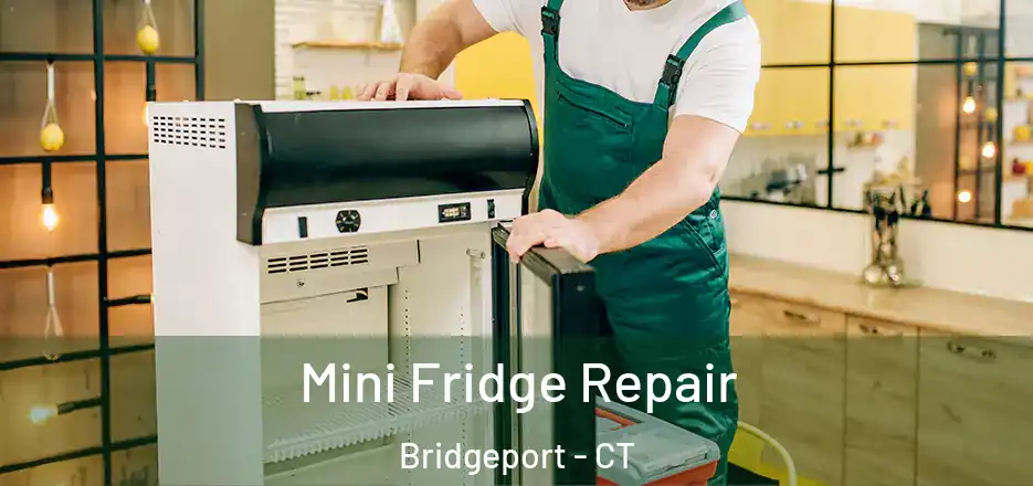  Mini Fridge Repair Bridgeport - CT