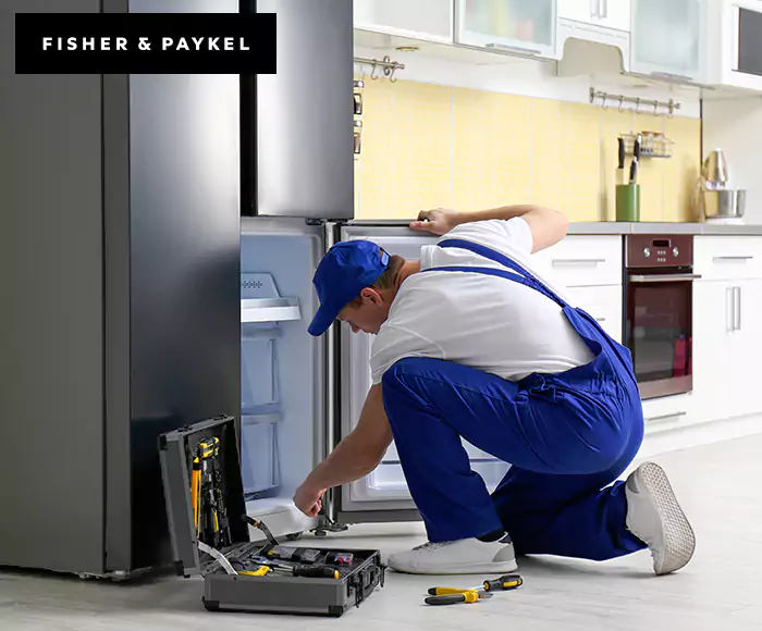 Top-Rated Fisher & Paykel Appliance Experts: Your Brand Specialist in Bridgeport, CT