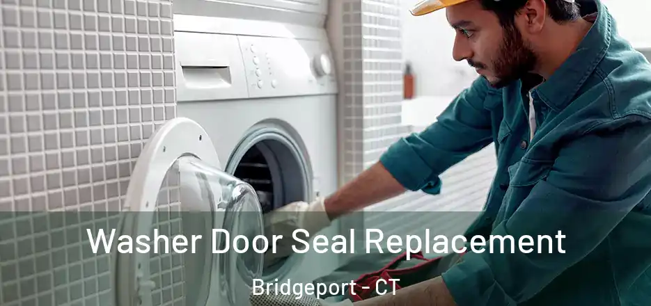  Washer Door Seal Replacement Bridgeport - CT