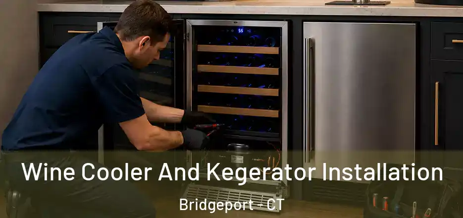  Wine Cooler And Kegerator Installation Bridgeport - CT