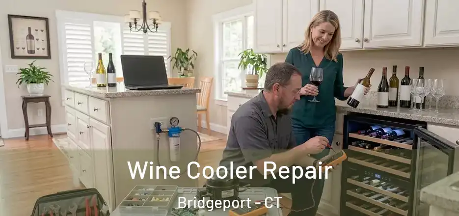  Wine Cooler Repair Bridgeport - CT