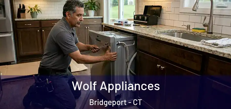  Wolf Appliances Bridgeport - CT